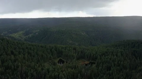 Drone Shot of Forest Vídeo Stock 164926397