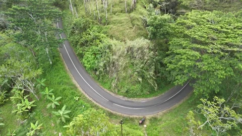 Drone shot in the forest Stock Footage 284520139