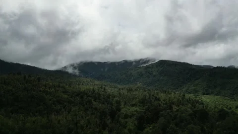 Drone Shot of Forest Landscape with Misty Clouds 库存影片 269033764