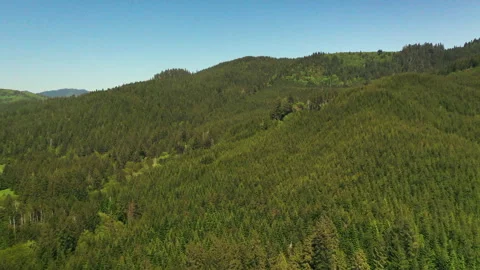 Drone shot of a forest logging operations in Portland Stock Footage 341865942