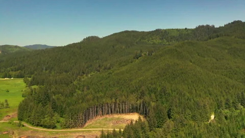 Drone shot of a forest logging operations in Portland Stock Footage 341865961