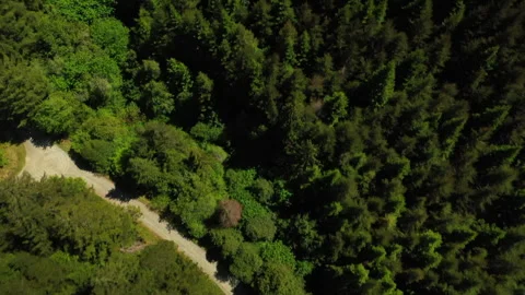Drone shot of a forest logging operations in Portland Stock Footage 341865970