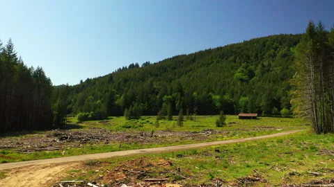 Drone shot of a forest logging operations in Portland Stock Footage 341867163