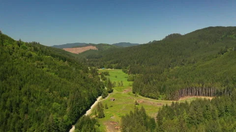 Drone shot of a forest logging operations in Portland Stock Footage 341867305