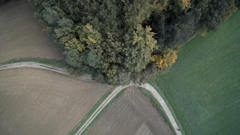 Drone shot of forest patch Stock Footage 336305829