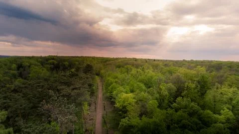 Drone shot of forest track with rain clouds and a gleam of light Stock Photos