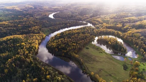 Drone shot of forests and river in autumn Stock Footage 98079791