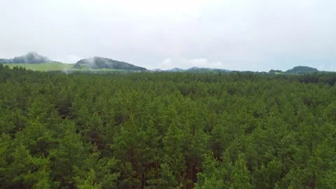 Drone shot of a forrest on a cloudy day Stock Footage 332523094