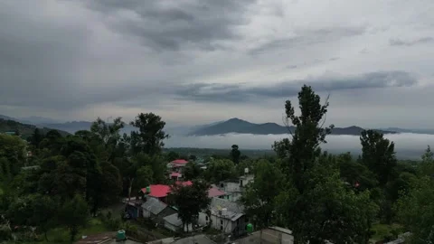 Drone Shot Framed Between Pine Trees Showing Cloudbed and Himalayas Video stock 313380986
