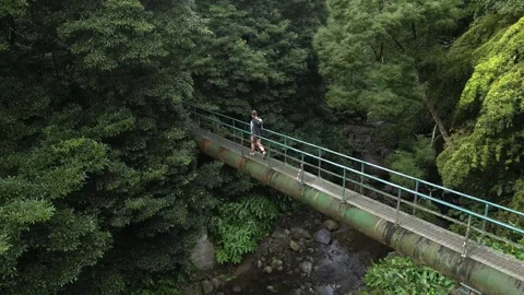 Drone shot gliding over a rustic bridge near the stunning Salto do Cabrito Stock Footage 321079508