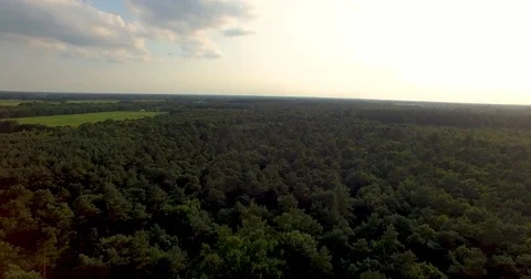 Drone shot gliding over the woods Video stock 79664596