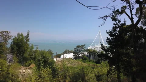 Drone shot going through trees to reveal Bay Bridge 4k 스톡 동영상 235633508