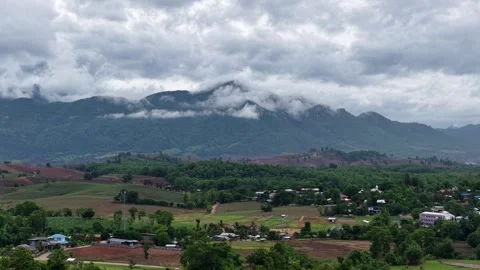 Drone Shot of Green Canopy and Mountain Horizon After Rain Stock Footage 310513643