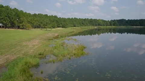Drone shot of green environment and lake 6 Stock Footage 104873641