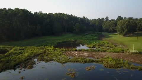 Drone shot of green environment and lake 7 Stock Footage 104873904