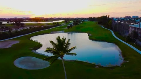 Drone shot green field 動画素材 227809226