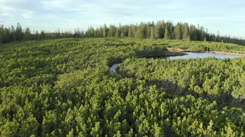 Drone Shot Of Green Fields Stock Footage 136159980