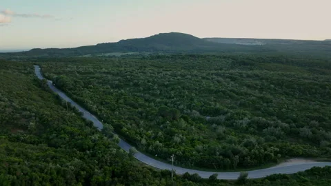 Drone shot of green fields 스톡 동영상 336601559