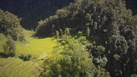 Drone shot of Green paddy fields of Village of Bhojpur East Nepal, Rural village Stock Footage 284913859
