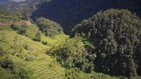 Drone shot of Green paddy fields of Village of Bhojpur East Nepal, Rural village Stock-Footage 284914443