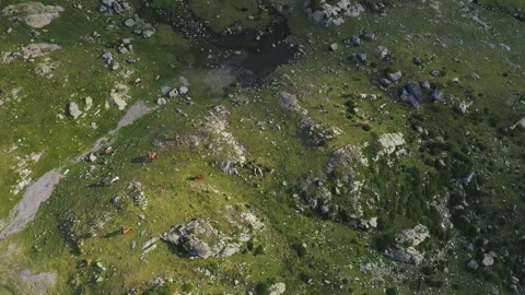 Drone shot of green plain with animals in the middle of rocky mountains Vidéo 131379188