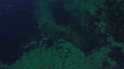 Drone shot of green seabed with waves and movement. Stock Footage 87831444