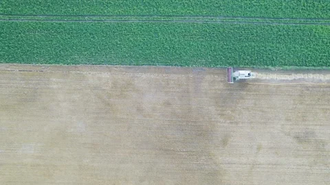 Drone Shot of Harvester Creating Dust The Concept of Summer Harvest 스톡 동영상 324592260