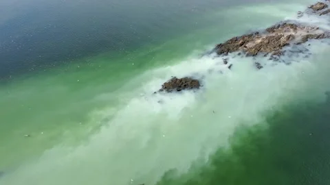 Drone shot of herring spawn around a small rocky island on Vancouver Island Stock Footage 345174717