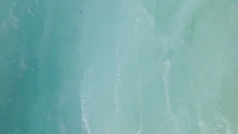Drone shot of herring spawn with birds flying in the sky over turquoise water Stock Footage 345087395
