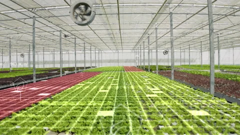 Drone shot of high tech agricultural greenhouse, parameters AR visualization Stock Footage 280124132