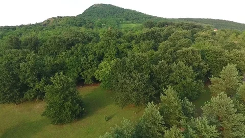A drone shot of a hill Stock-Footage 115926817