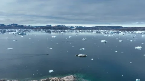 Drone shot of icebergs floating in a large fjord of East Greenland Video stock 332374287