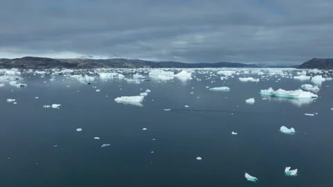 Drone shot of icebergs floating in a large fjord of East Greenland Video stock 332374398