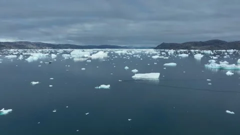 Drone shot of icebergs floating in a large fjord of East Greenland Stock-Footage 332374410