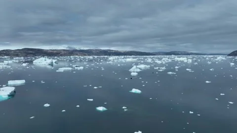 Drone shot of icebergs floating in a large fjord of East Greenland Stock Footage 332375437