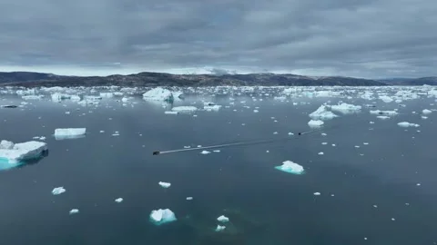 Drone shot of icebergs floating in a large fjord of East Greenland Stock Footage 332375922
