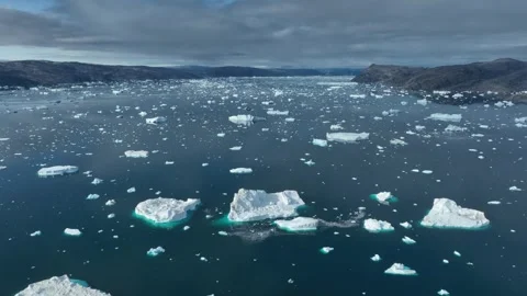 Drone shot of icebergs floating in a large fjord of East Greenland Stock Footage 332377945