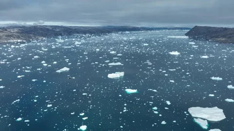 Drone shot of icebergs floating in a large fjord of East Greenland Stock Footage 332392114