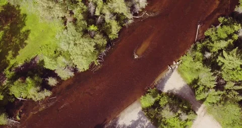 Drone shot of kayakers getting ready for their trip down a lazy river Video stock 259901142