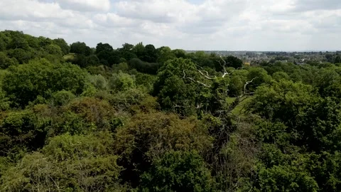 Drone shot of King George's Fields, Hadley Woods, High Barnet, London Stock Footage 243087324