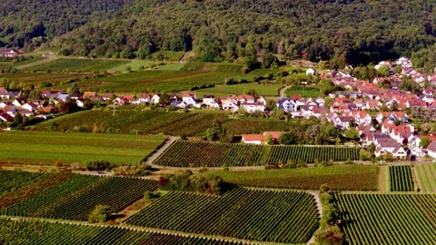 Drone Shot of Landscape with Green Fields, Village and Old Castle on Hill Vídeos de archivo 166147059