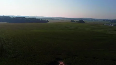 Drone Shot of a Large Corn Field in Indiana, USA Stock Footage 218637347