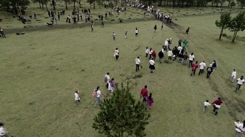Drone shot of large crowd walking across open field during outdoor gathering Stock Footage 334119707