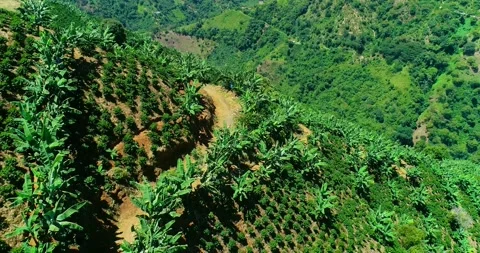 Drone shot of large verdant mountains and a deep valley. Stock Footage 221242296