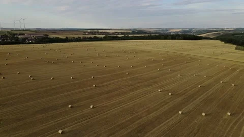 Drone shot of a late summer fields of hay rolls. Stock Footage 224553263