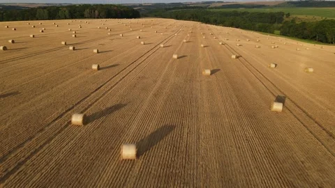 Drone shot of a late summer fields of hay rolls. Stock Footage 224554068