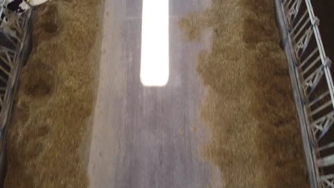 Drone shot of light reflection 库存影片 133280775