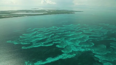 Drone shot of Lighthouse Reef giant marine atoll in Caribbean Sea in Belize Caye Stock Footage 204864466