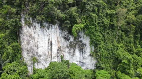 Drone shot of limestone cliffs covered in trees in Krabi, Thailand Vidéo 170285168