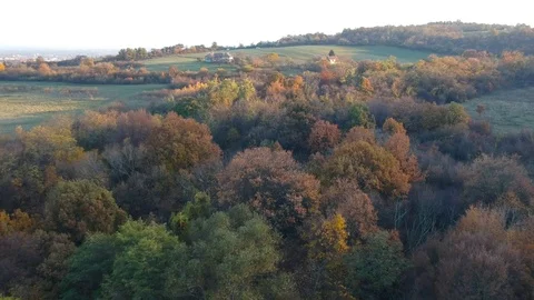 A drone shot of a little forest Stock Footage 99007934